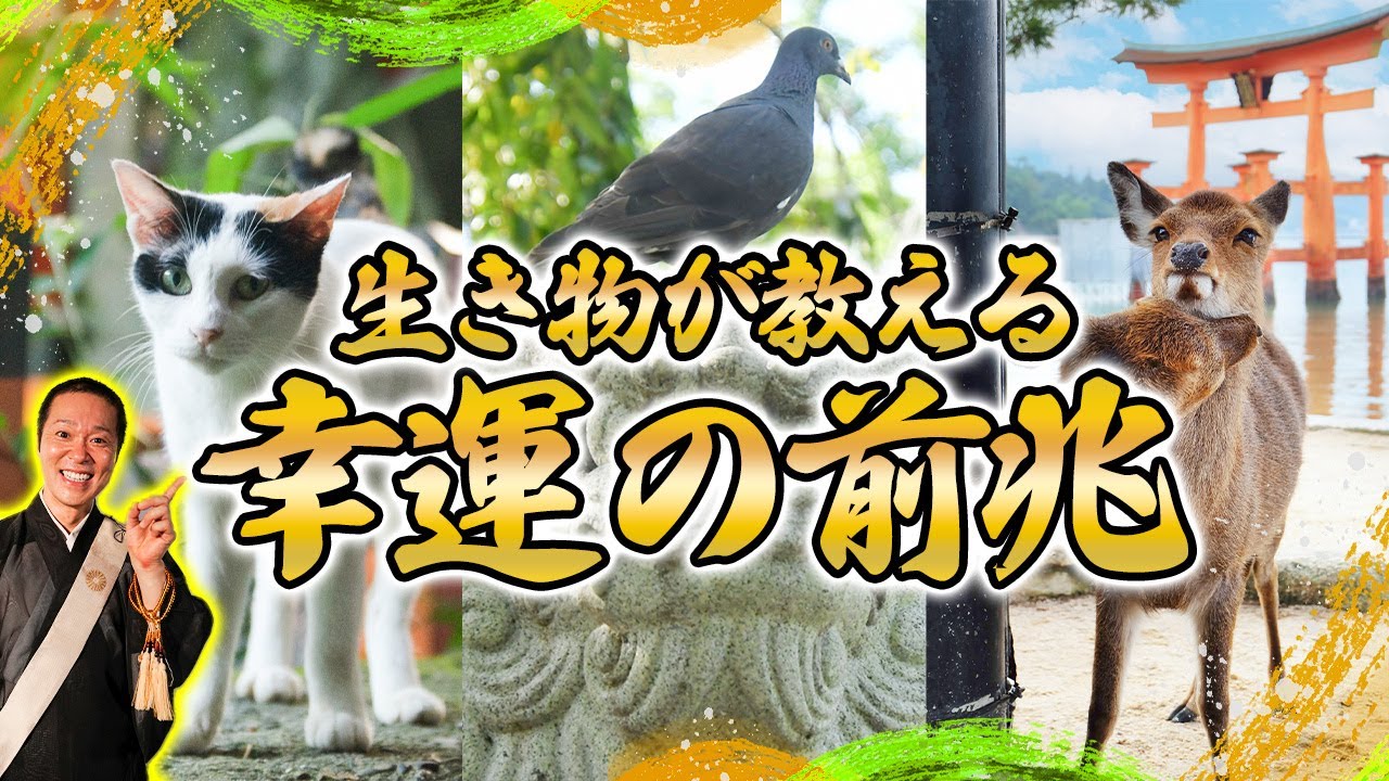 幸運の前兆！？生き物が伝える神様からのメッセージ【神社 お寺】