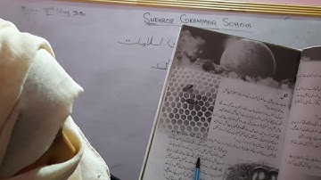 class 4 lesson 2 paidaish reading of pg#9