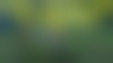 Xenoblade Chronicles 2 Fast XP 1500+ WP60+2 Minutes ONE PUNCH