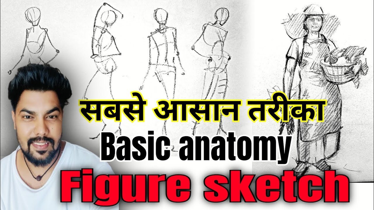 Basic anatomy || how to draw figure sketch #anatomy #figureanatomy ...