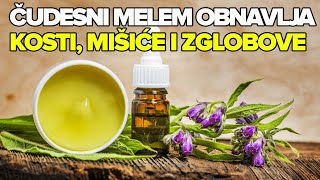 Download Lagu NAJBOLJA TRAVA ZA REUMU I BOLOVE! Dr Mihajlović MP3 Download Lagu NAJBOLJA TRAVA ZA REUMU I BOLOVE! Dr Mihajlović MP3