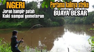 Ngeri!! pertama kalinya saya strike BUAYA besar