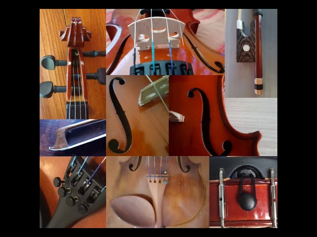 Classe di violino M° Carol Bergamini