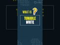 unable White - DT8 - Rotary Control Switch by zencontrol