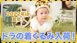 トラの着ぐるみ入荷！