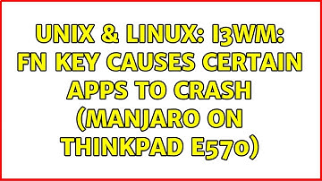 Unix & Linux: i3wm: Fn key causes certain apps to crash (Manjaro on ThinkPad E570)