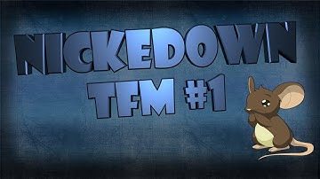 Transformice - Nickedown [2014] #FirstMovie