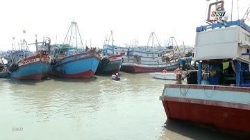 Chủ tịch UBND tỉnh Nguyễn Văn Thọ khảo sát cảng cá Cát Lở và cảng Bến Đá | BRTgo