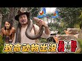 第314集 致命動物出沒！闖入秘魯亞馬遜源頭的“世外桃源”｜冒險雷探長Lei&#39;s adventure