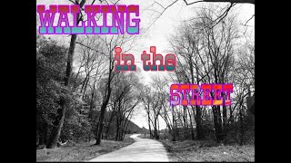 WALKING IN THE STREET