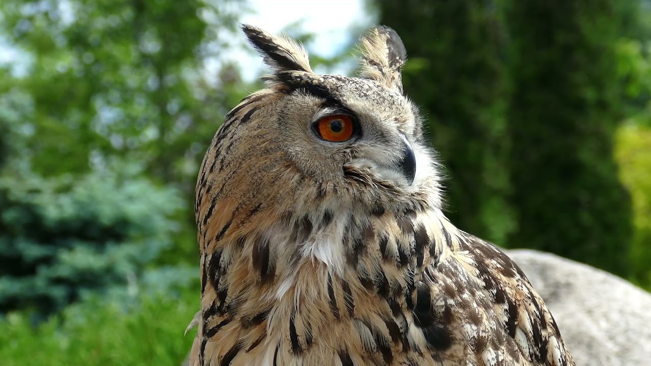 Parki Krajobrazowe Województwa Zachodniopomorskiego