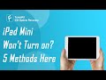 5 Effective Methods to Fix iPad Mini Won't Turn on