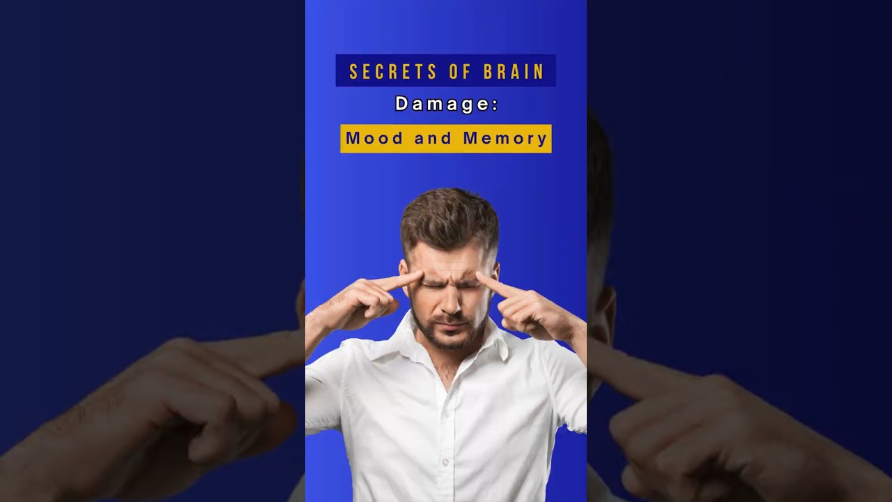 How Brain Damage Can Change Your Personality