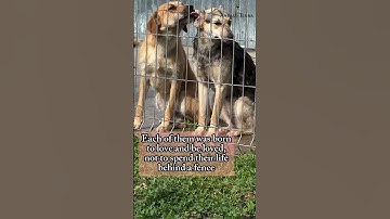 For Any Support Click Our Link In Bio To Help.All Pledges You Make To Support Are Appreciated!❤️