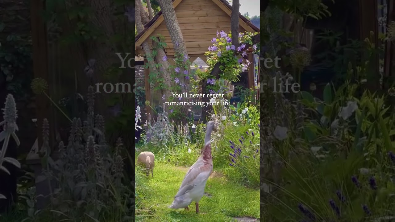 Romanticise your life 💕🌱 