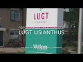 Репортаж из Нидерландов. Компания Lugt Lisianthus.