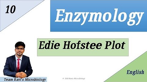 Eadie Hofstee plot | Enzyme Kinetics