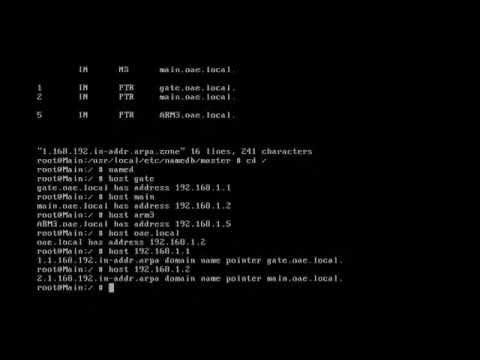 Версия bind. Appstream. Linux bind. Версия bind. Bruteforce атаки.