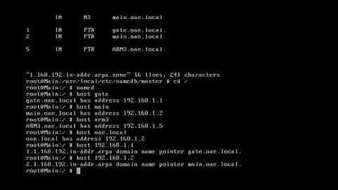 Installation and set up of the BIND DNS-server