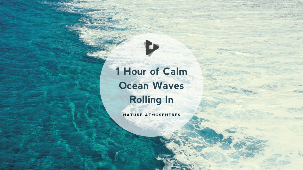1 Hour of Calm Ocean Waves Rolling In | Nature Atmospheres | Lullify ∞ 277