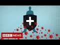 Coronavirus: Immunity explained - BBC News