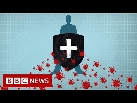 Coronavirus: Immunity explained – BBC News
