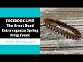 FACEBOOK LIVE - The Great Bead Extravaganza Facebook Live Event - make the Urban Bling Bracelet!