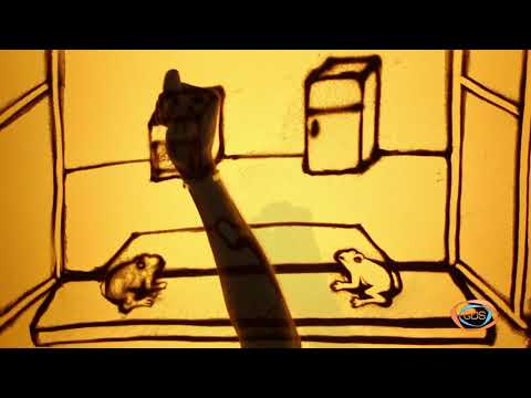 ქვიშის სამყარო_\"ორი ბაყაყი და ქილა რძე\"_N STUDIA