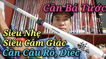 Cần Gama FX Bá Tước câu cảm giác chuyên câu Diếc, rô phi