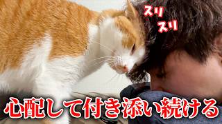 There was a cat that stayed by its owner's side, worried about what might happen to them. screenshot 5