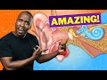 Understanding the Hearing Process