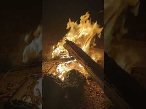 لابأس في استقطاع بعض الوقت من اجل نفسك جدد بها اللقاء بعد كل فترة وأخرى اكسبلور