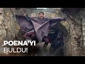 Alaeddin Poena Nın Peşine Düştü Kuruluş Osman 183 Bölüm Alaeddin Poena Nın Peşine Düştü Kuruluş Osman 183 Bölüm