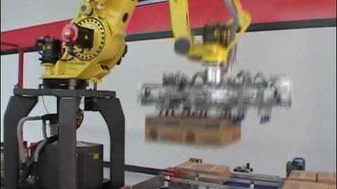 Robot with patented servo gripper palletizing 2 pallets