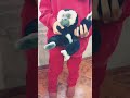 this Is monkey
