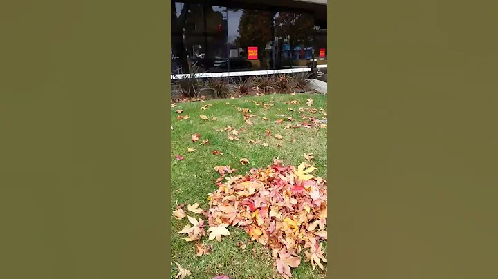 little girl jumping into leaves