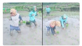 Ketika Generasi Tik Tok Tanam Padi