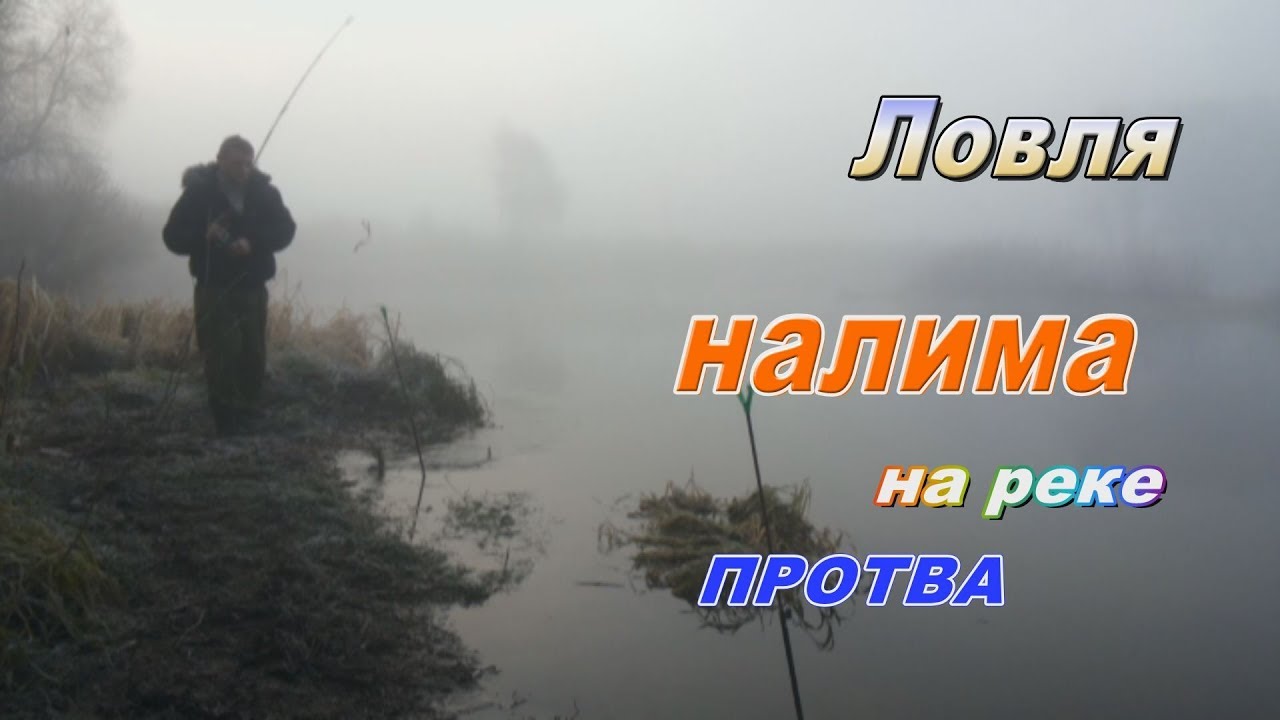 Протва впадает в оку