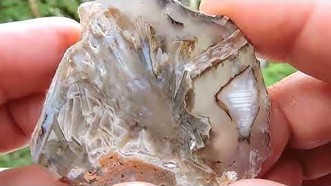 Turkish stick pseudomorph Agate polished slab.