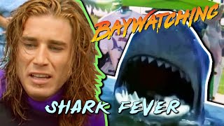 Baywatching: Shark Fever