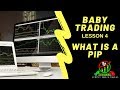 Baby Trading Lesson 4 What is a PIP | AUKFX