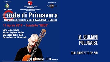 M. Giuliani - Polonaise ( from Quintet Op. 65) - Guitar and Strings