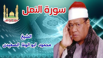 الشيخ محمود ابو الوفا الصعيدى سورة النمل