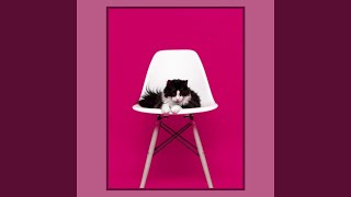 Sumptuous Jazz Saxophone - Vibe for Happy Cat