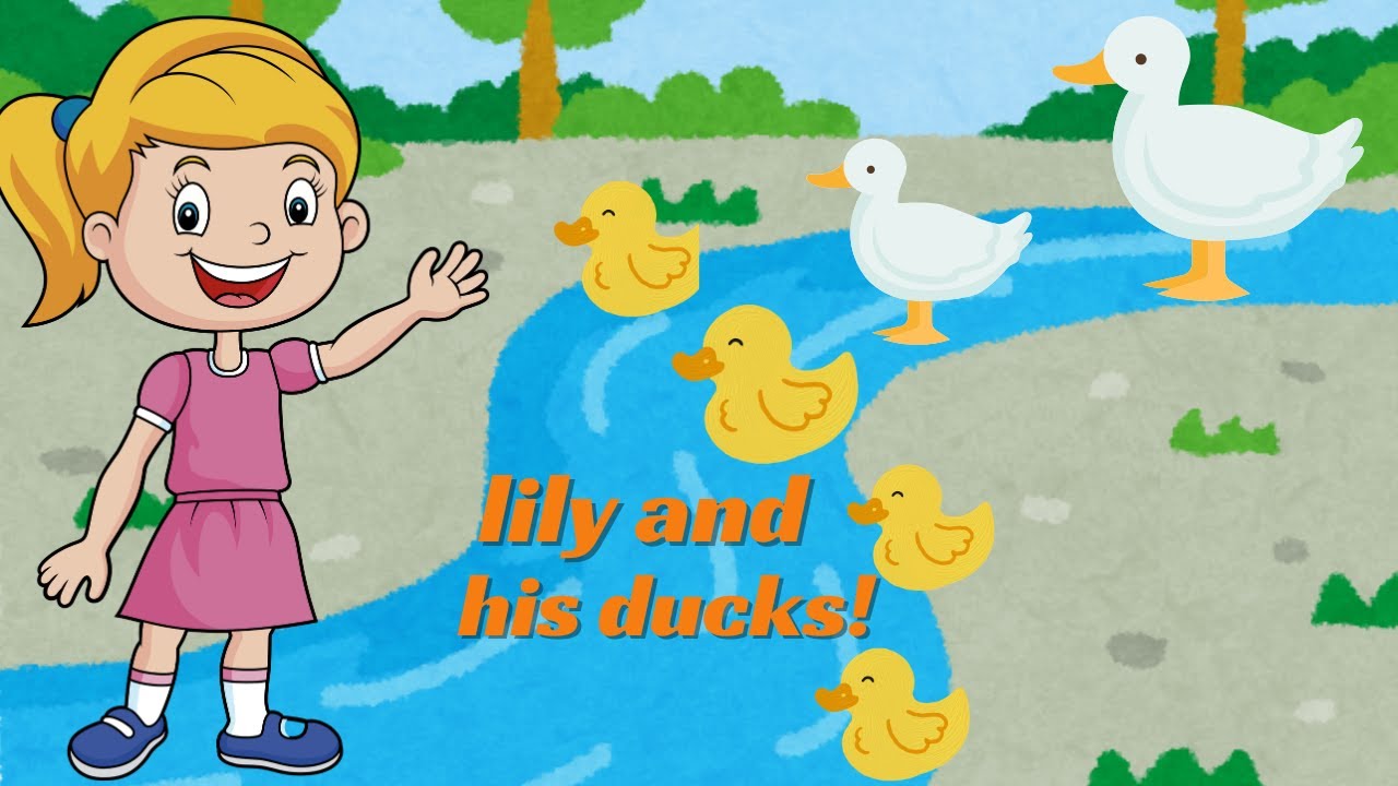 lily and his ducks