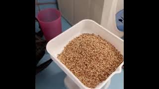 Resep memasak bandrek medan part 2
