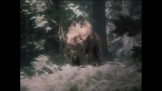 Dinosaur Resounded & Recut