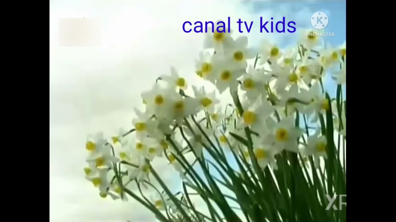 The amazing world baby tv YouTube