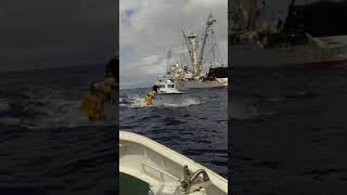 hakko maru no 2 in fishing ground