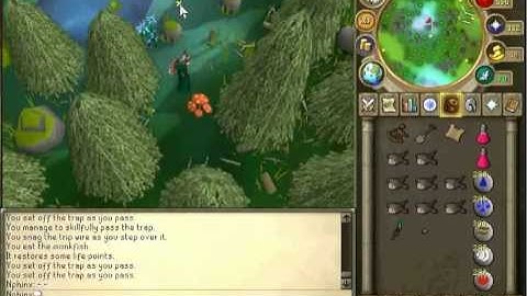 Runescape Clue Scroll lvl 3 (hard) - Rewards #1